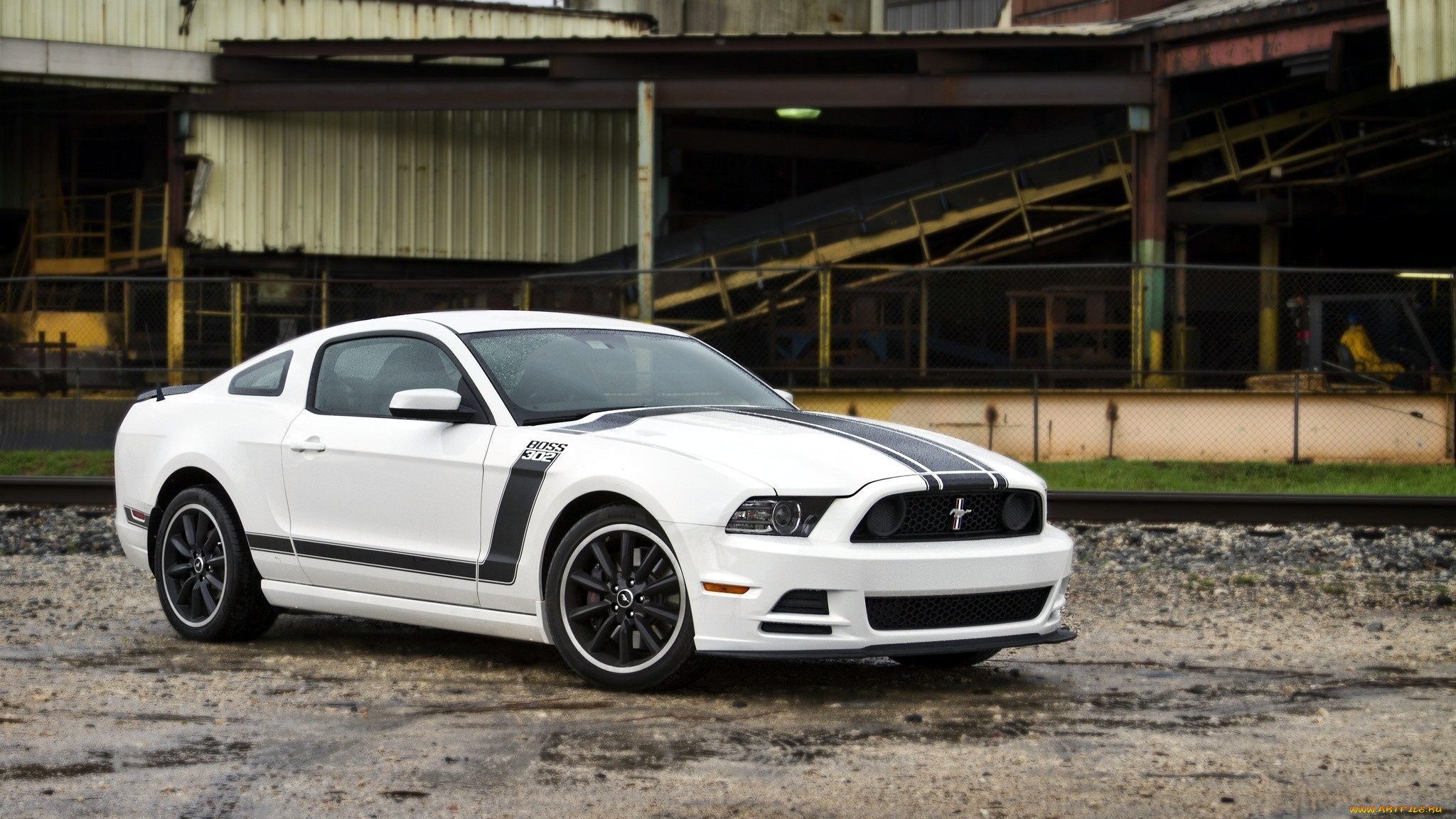 mustang, , , ford, motor, company